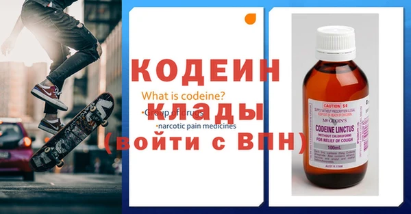прущие грибы Приозерск