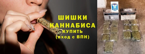 прущие грибы Приозерск